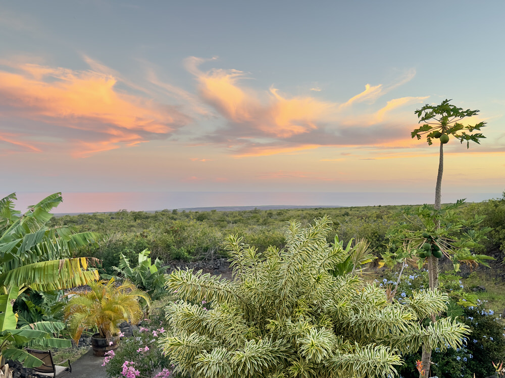 Palaoa House Garden View